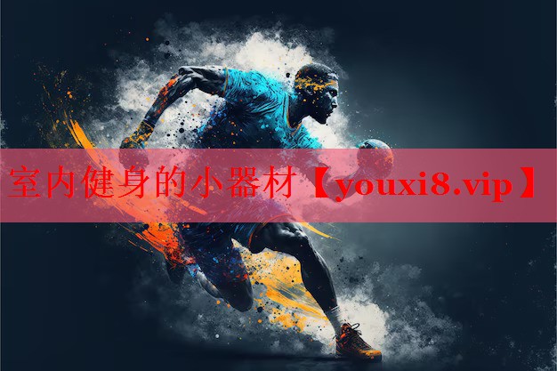 室内健身的小器材