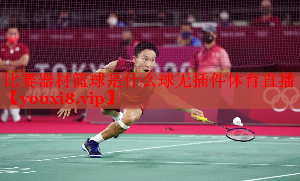 比赛器材篮球是什么球无插件体育直播