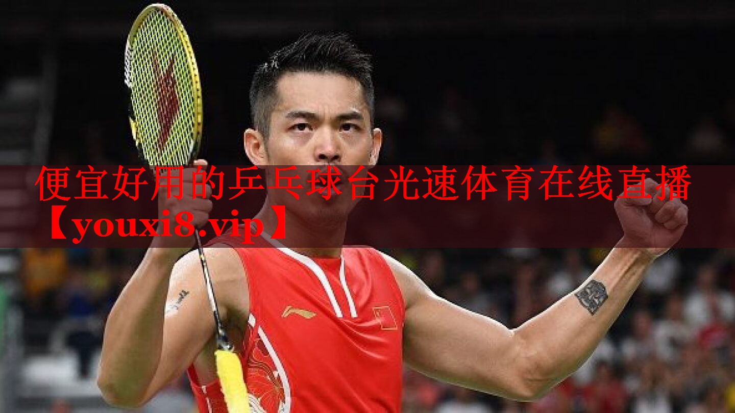 便宜好用的乒乓球台光速体育在线直播