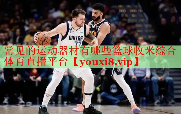 常见的运动器材有哪些篮球收米综合体育直播平台