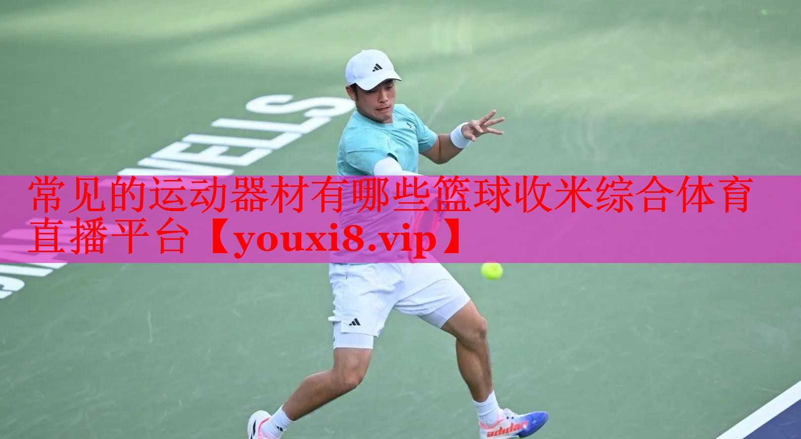 常见的运动器材有哪些篮球收米综合体育直播平台