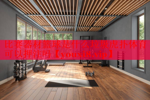 比赛器材篮球是什么垃圾虎扑体育可以押注吗