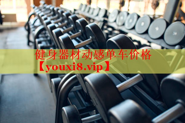 健身器材动感单车价格